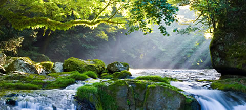 Rolande Garnaud : Naturopathe, Maitre Reiki - 