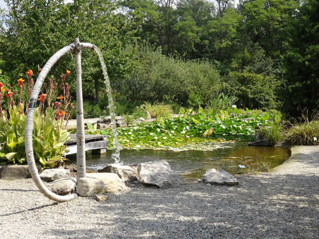 Naturopathie à Poitiers et Saint-Benoit